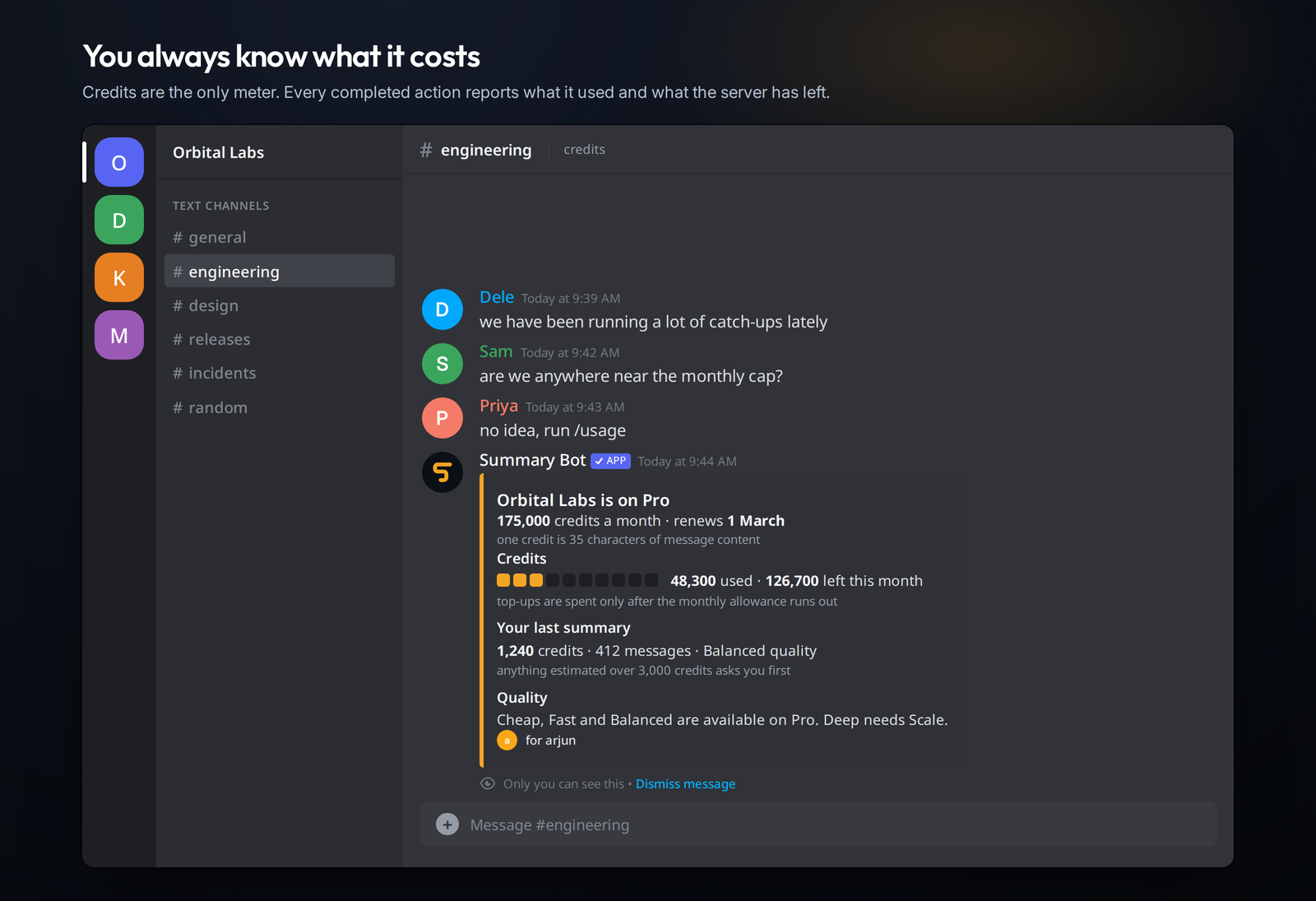 A clear breakdown of credits used, credits left, and the next reset.